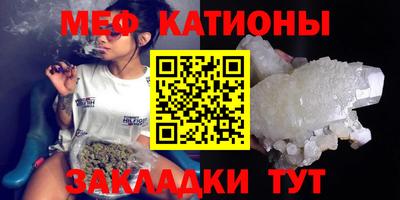 индика Гатчина