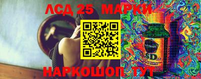 индика Гатчина