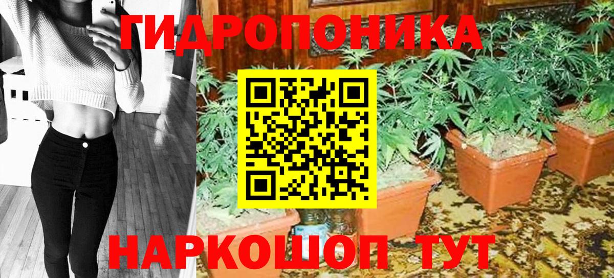 Бошки Шишки ГИДРОПОН Лысьва