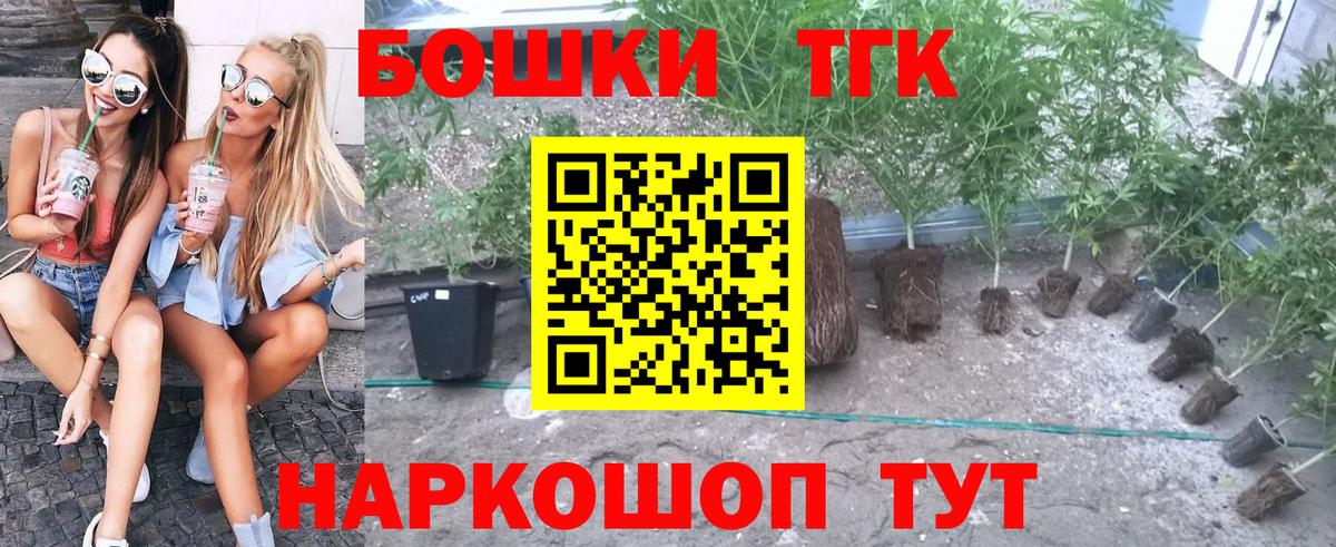 Бошки Шишки Amnesia Лысьва